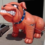 Bulldog Inflatable