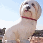 Gizmo Dog Balloon Gizmo Dog Balloon